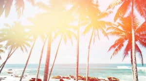 7 Insta Babes Rockin The Beach Look