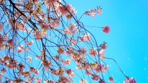 3 Essential Appliances for the Dreaded Spring Clean 2017!