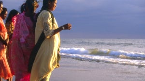 Explore: Scent From Goa