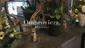 Omorovicza’s Pop-up Spa at Clifton Nurseries