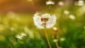 5 Must-Have Beauty Products For Organic Week