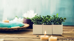 The Zen Commandments: Products To Help You Find Your Inner Zen