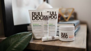 18 Rules of Grooming with Bulldog