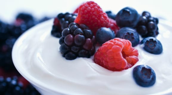 Greek yoghurt probiotics