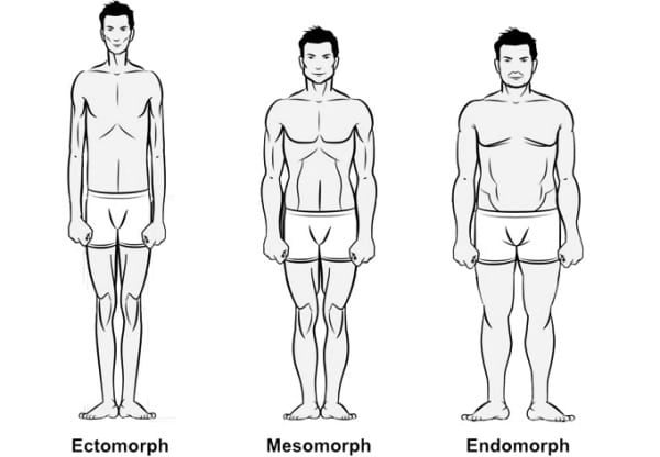 Lose Fat and Gain Muscle Tips for the Endomorph Body Type