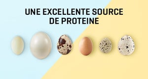 Les bienfaits des Oeufs! Pas seulement pour Pâques!