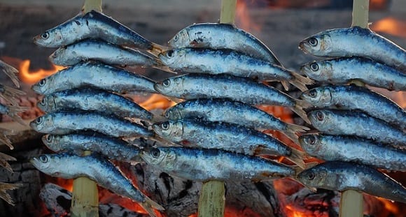 Les sardines ont d'excellents apports !
