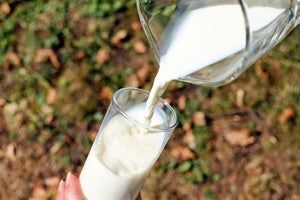 ¿Leche de vaca orgánica o natural? Conoce sus diferencias