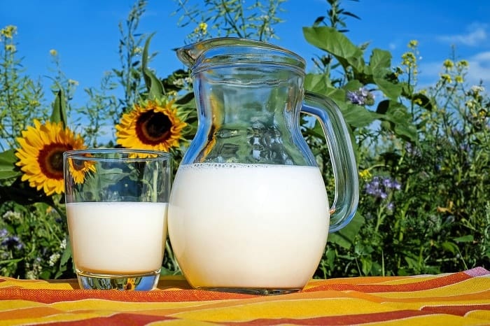 proteína de la leche