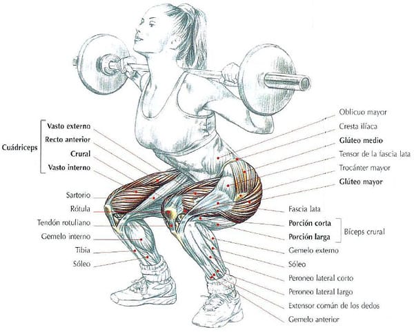 Sentadillas con 2025 mancuernas para gluteos