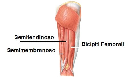 stretching femorali