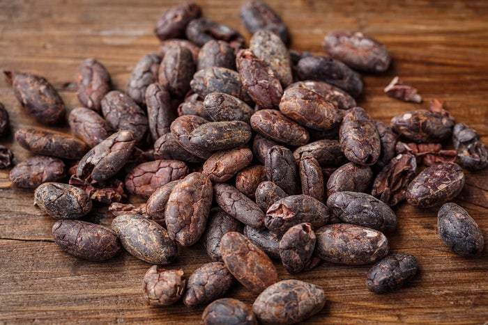 Cacao Cioccolato