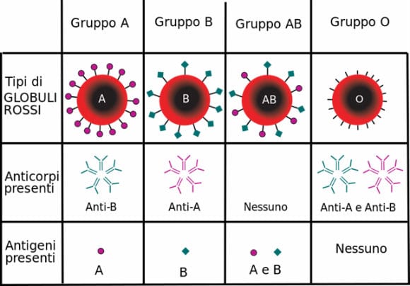 dieta del gruppo sanguigno