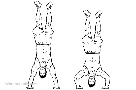 handstand push-up