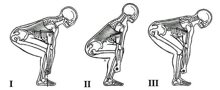 O Deadlift Para Principiantes  7 variantes para dominar o peso