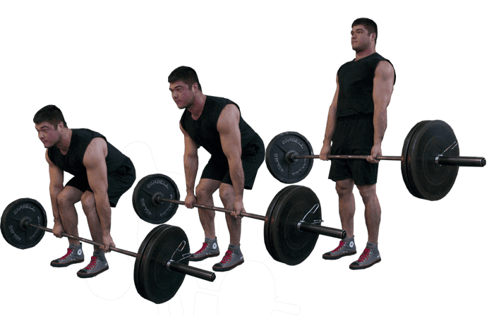 O Deadlift Para Principiantes  7 variantes para dominar o peso-morto -  MYPROTEIN™