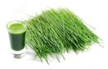 green-superfoods-3
