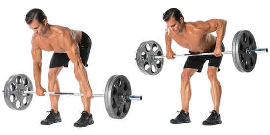 How To Perform Barbell Dumbbell Bent Over Rows Form Proper