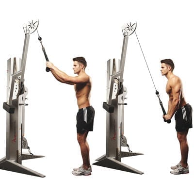 Triceps 101  4 Exercises For Building The Triceps Muscles