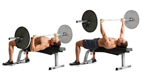 flat barbell bench press