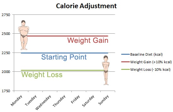 calorie adjustment bulk and cut 