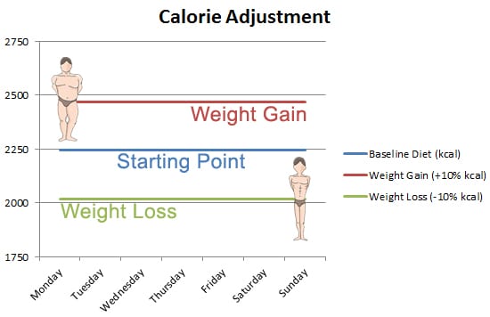 The Complete Guide to Bulking and Cutting - Diet and Nutrition - COMMUNITY  - T NATION