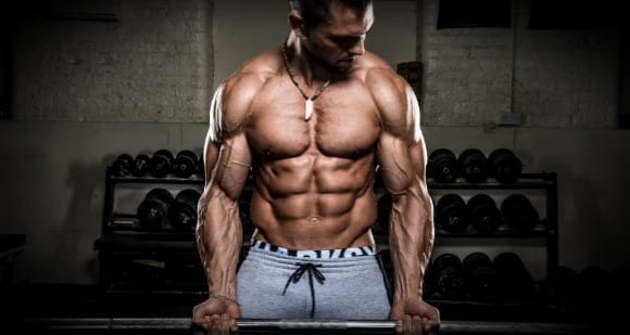 alon gabby bicep curl showing 6 pack abs