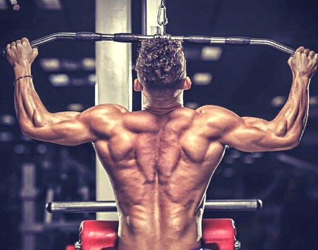 The Old-School Bodybuilding Back Workout - Oxygen Mag