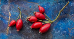 What Are The Benefits Of Rosehip?