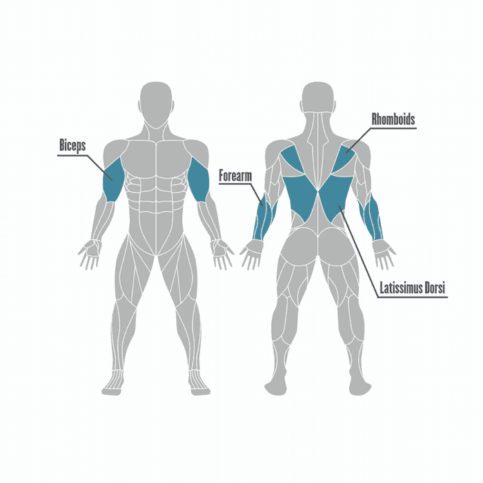Os benefícios da elevação na barra fixa e os grupos musculares utilizados