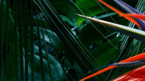 Les délices de la jungle – découvrez la nouvelle Glossybox du mois d’avril !