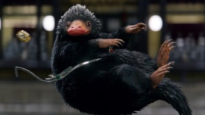 Les Animaux fantastiques – Les crimes de Grindelwald : Ce que l’on sait pour l’instant