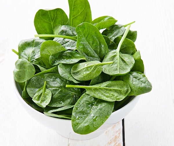 Young spinach in white bowl