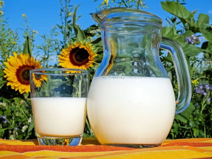 A pitcher of milk next to some sunflowers