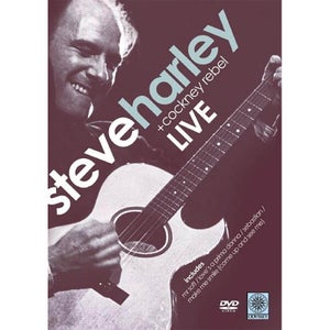 Steve Harley im Konzert