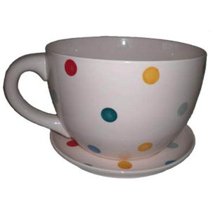 Giant Cream with Multi Coloured Spots Tea Cup and Saucer Planter - Great Gift