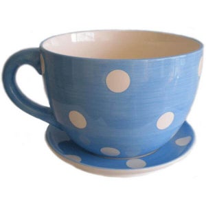 Giant Blue and White spot Tea Cup and Saucer Planter - Great Gift