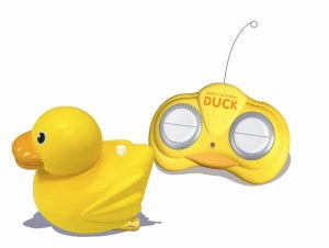 Remote Control Duck
