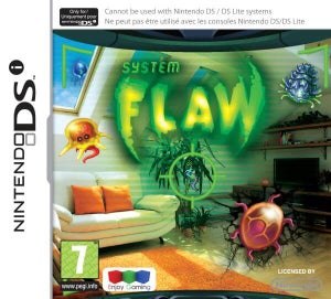 System Flaw (DSi & DSiXL only)
