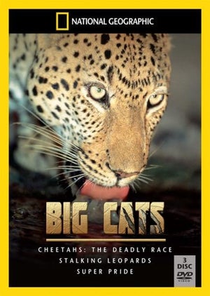 Big Cats Box Set