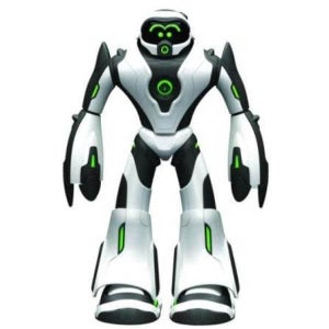  Joe Bot 