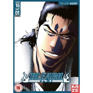 Bleach Series 16 Part 1 (Episodes 343-354)