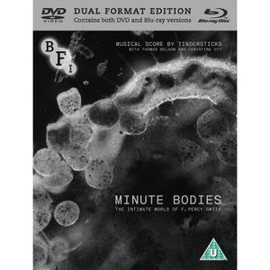 Minute Bodies