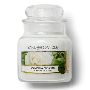 Yankee Candle Small Jar Candle - Various Scents