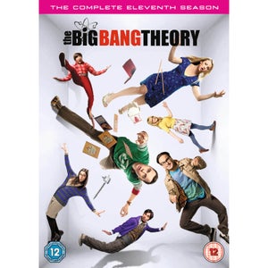 Big Bang Theory Season 11