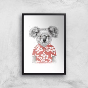 Balazs Solti Koala Bear Art Print