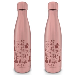 Disney Princess (Thirsty Work) Metal Drinks Bottle