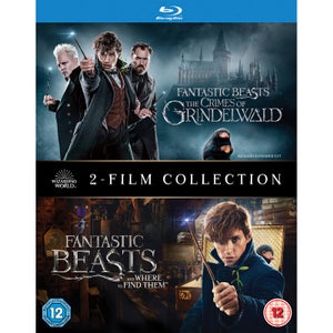 Fantastic Beasts: Collectie van 2 films