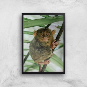 Those Big Brown Eyes Giclee Art Print