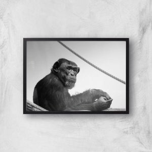 Chimpanzee Lost In Thought Giclee Art Print